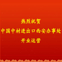 中國(guó)中材進(jìn)出口有限公司西安辦事處開(kāi)業(yè)運(yùn)營(yíng)